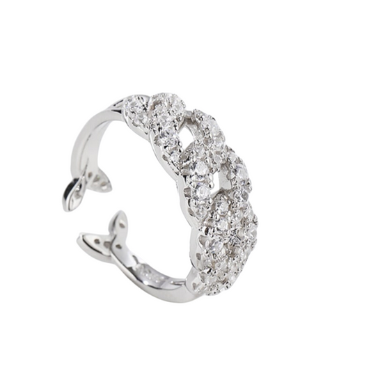 Chain Ring